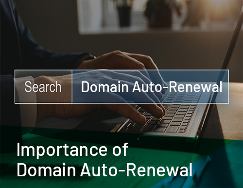 The Importance of Domain Auto-Renewal